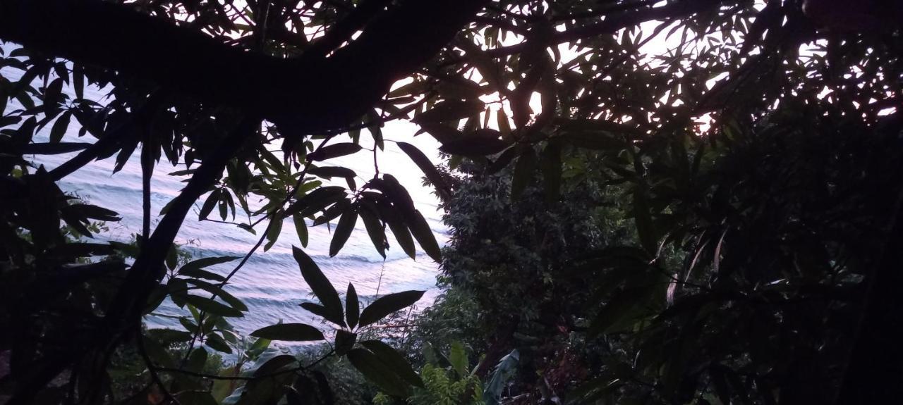 Treehouse Above The Beach Port Antonio Bagian luar foto