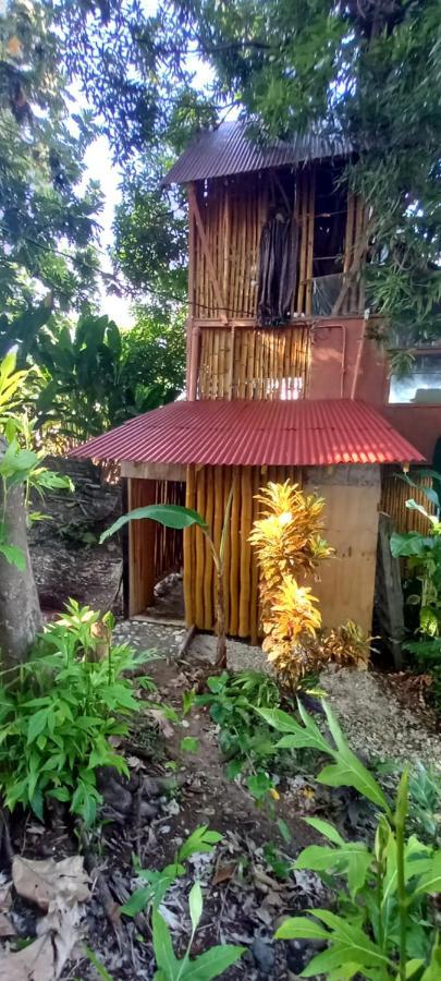 Treehouse Above The Beach Port Antonio Bagian luar foto