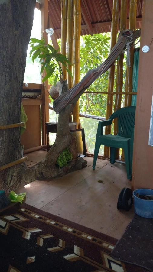 Treehouse Above The Beach Port Antonio Bagian luar foto