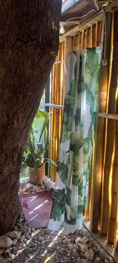 Treehouse Above The Beach Port Antonio Bagian luar foto