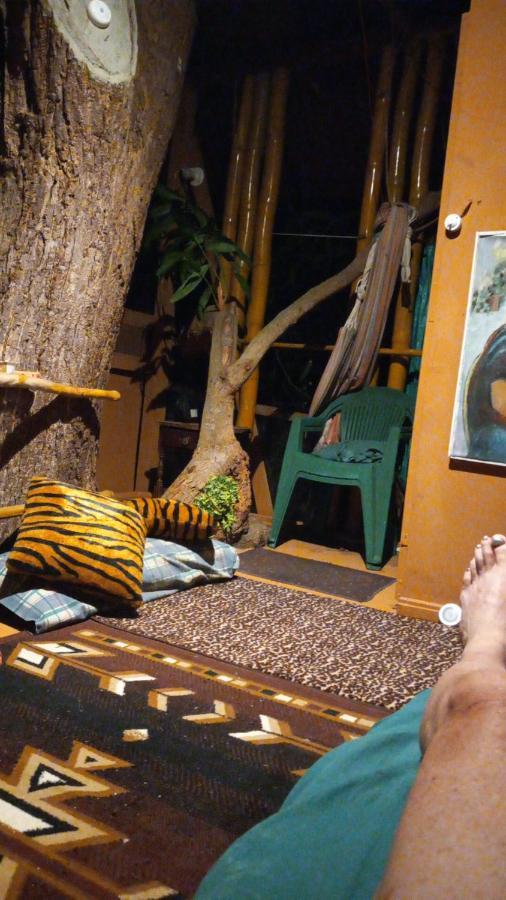 Treehouse Above The Beach Port Antonio Bagian luar foto