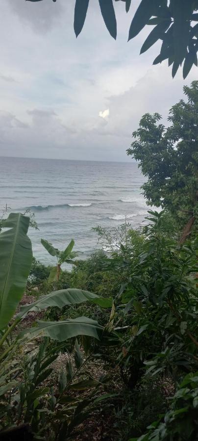 Treehouse Above The Beach Port Antonio Bagian luar foto