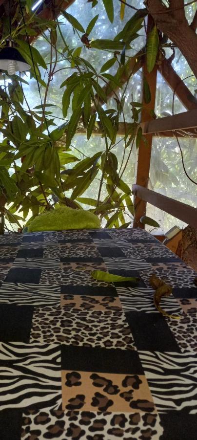 Treehouse Above The Beach Port Antonio Bagian luar foto