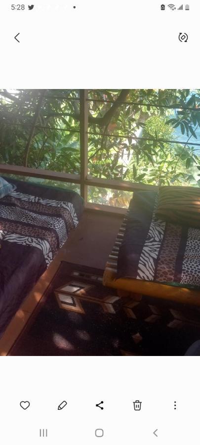 Treehouse Above The Beach Port Antonio Bagian luar foto