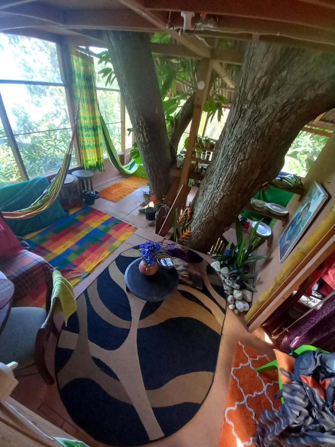 Treehouse Above The Beach Port Antonio Bagian luar foto