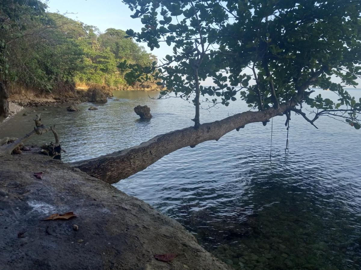 Treehouse Above The Beach Port Antonio Bagian luar foto