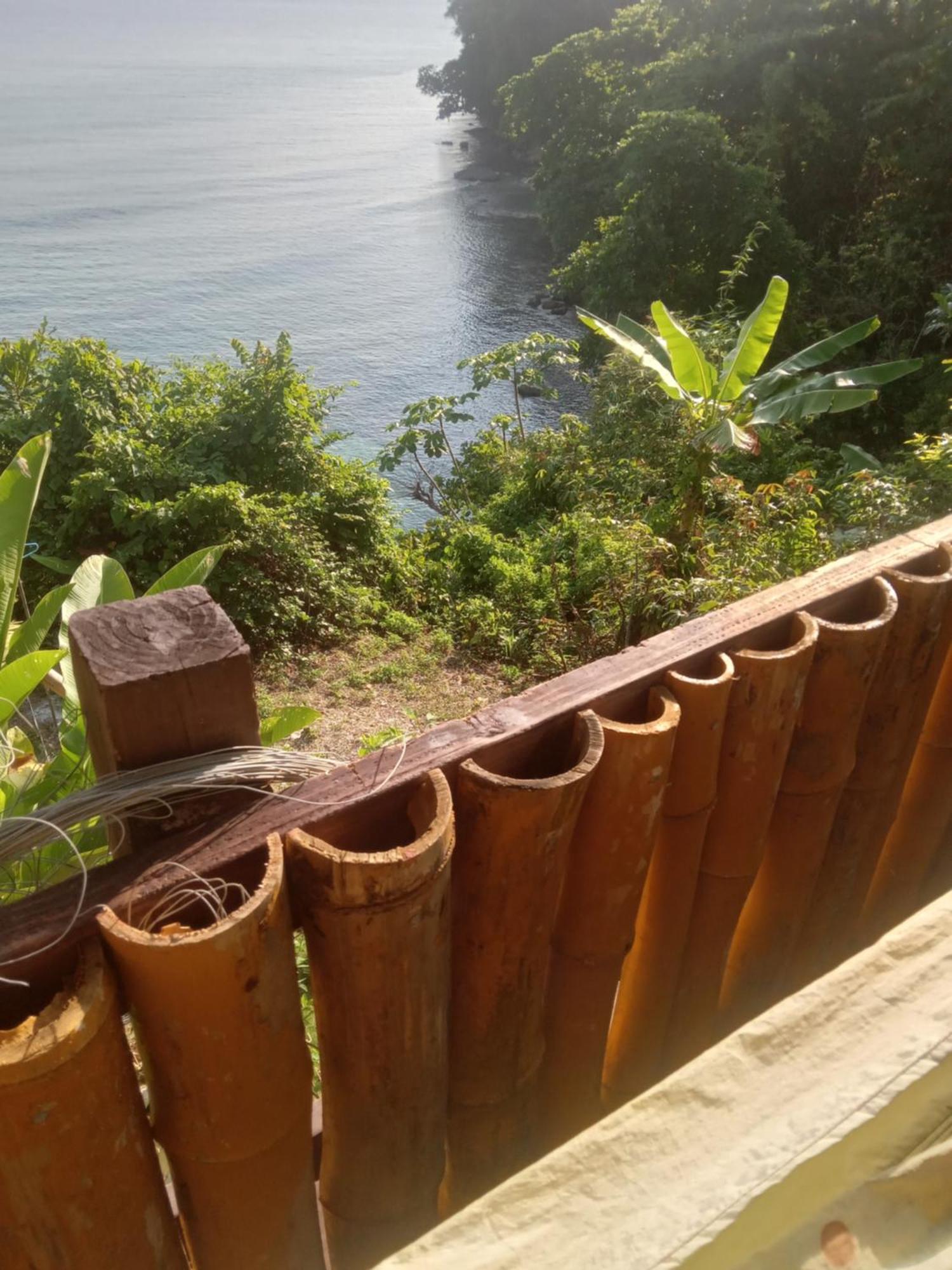 Treehouse Above The Beach Port Antonio Bagian luar foto
