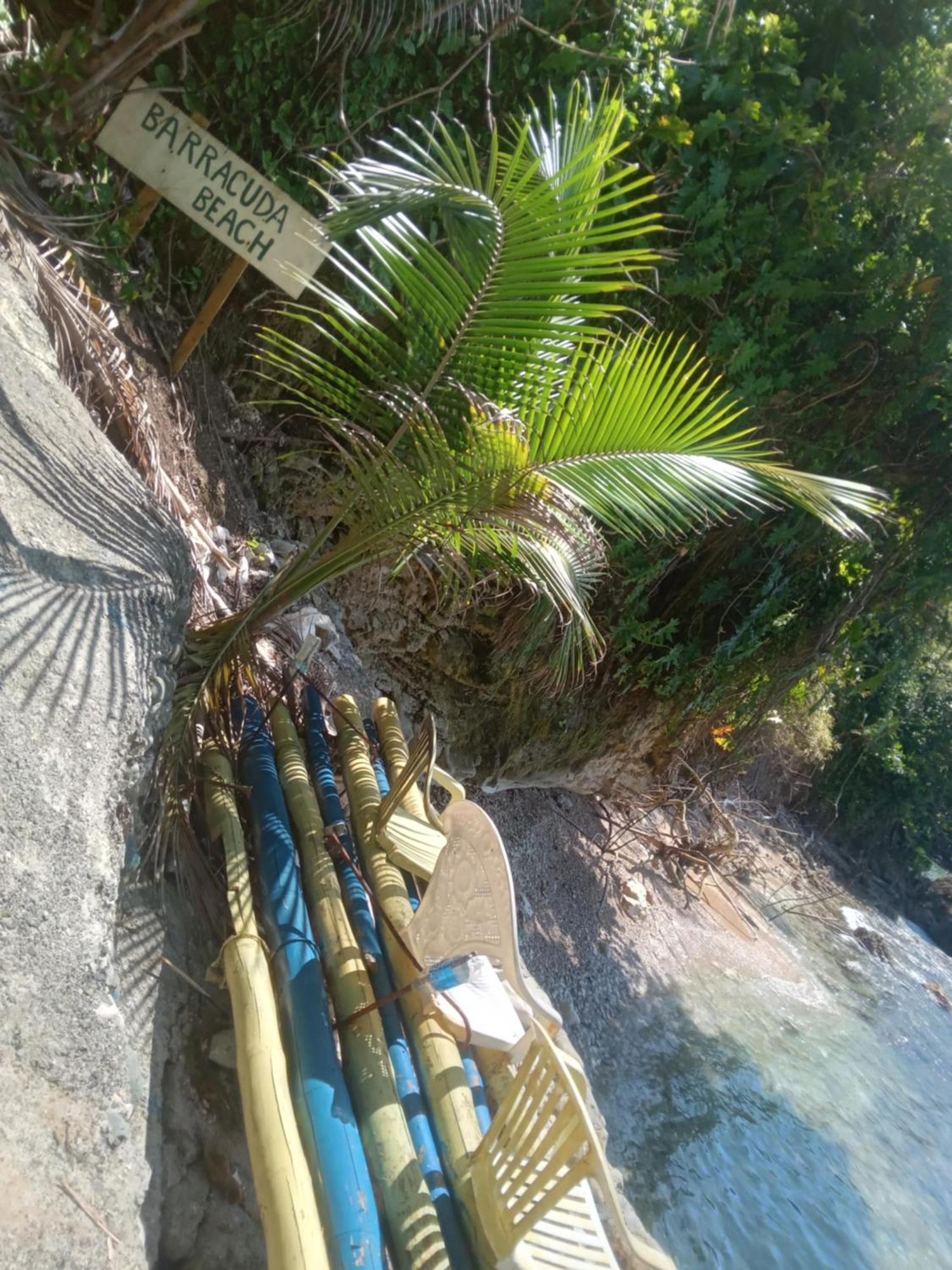 Treehouse Above The Beach Port Antonio Bagian luar foto
